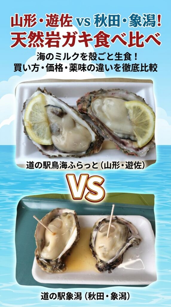 山形・遊佐 vs 秋田・象潟!天然岩ガキ食べ比べ!海のミルクを殻ごと生食!買い方・価格・薬味の違いを徹底比較