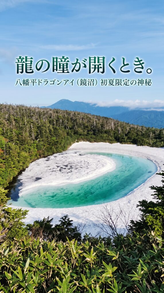 龍の瞳が開くとき。八幡平ドラゴンアイ（鏡沼）初夏限定の神秘