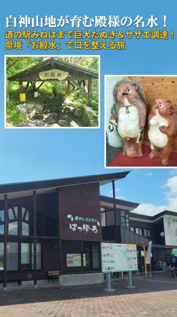 白神山地が育む殿様の名水！道の駅みねはまで巨大たぬき＆サザエ調達！県境「お殿水」で口を整える旅