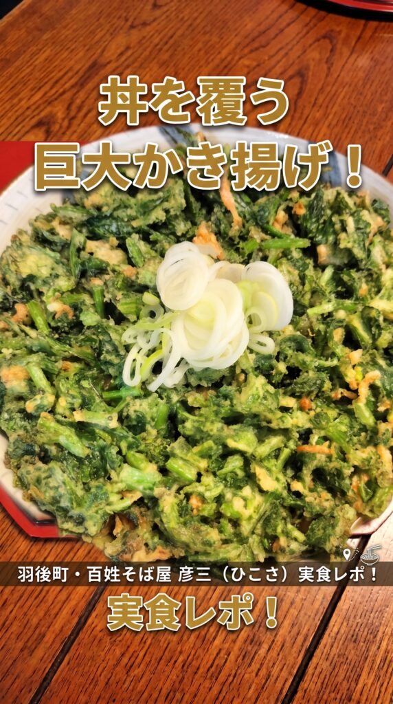 丼を覆う巨大かき揚げ！羽後町・百姓そば屋 彦三 （ひこさ）実食レポ！