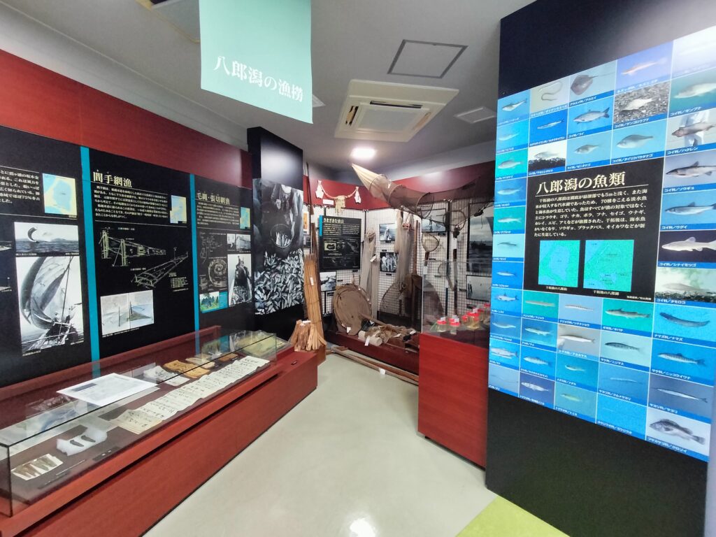 【道の駅てんのう】天王スカイタワー潟の民族展示室