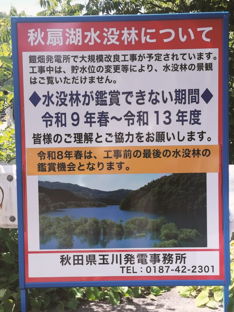 【秋田県仙北市】秋扇湖 水没林 鑑賞できない期間