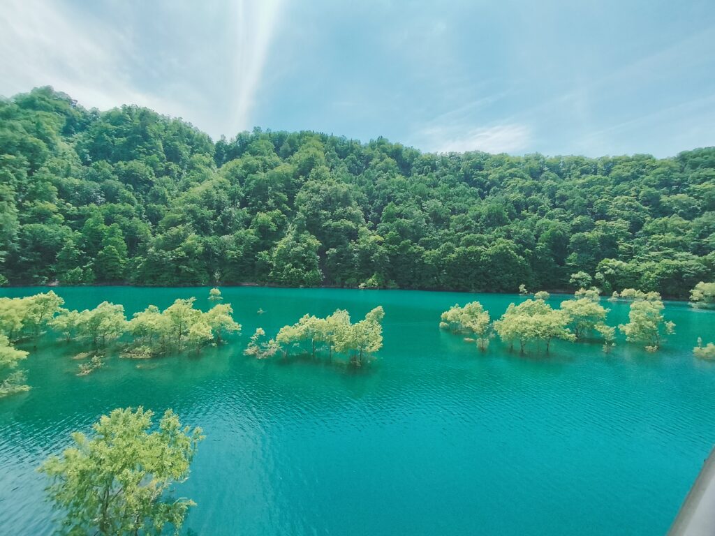 【秋田県仙北市】秋扇湖 水没林