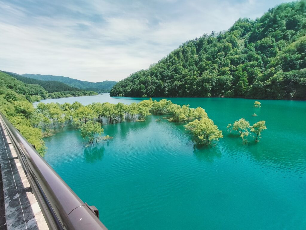 【秋田県仙北市】秋扇湖 水没林