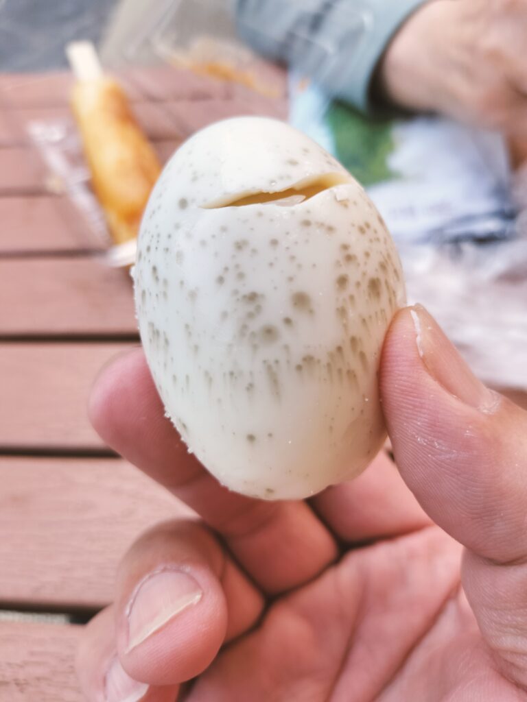 【秋田県仙北市】特別な湯治場・名湯 玉川温泉 温泉玉子