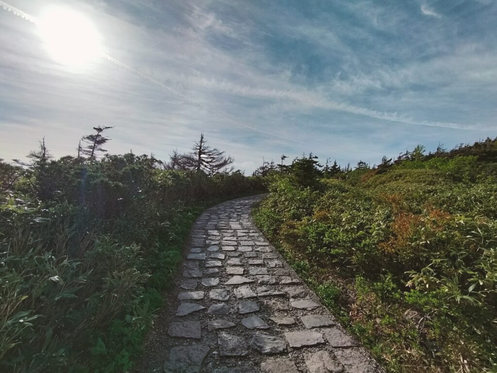 【秋田県仙北市】八幡平 ドラゴンアイ 道