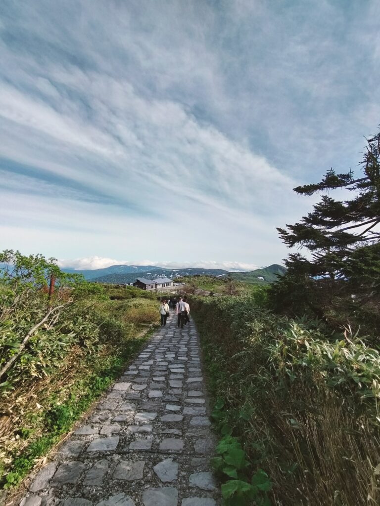【秋田県仙北市】八幡平 ドラゴンアイ 道