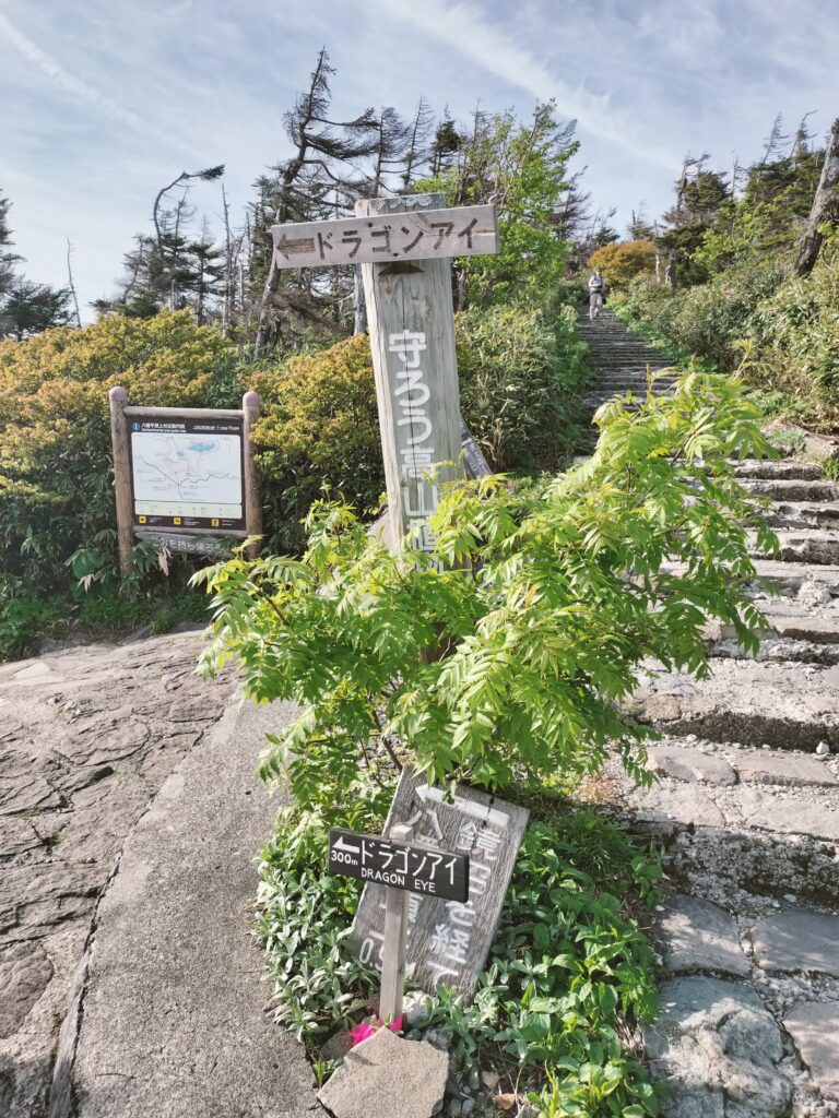 【秋田県仙北市】八幡平 ドラゴンアイ 分岐