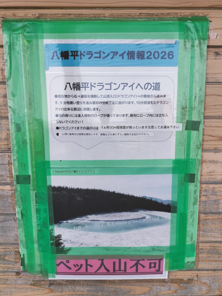 【秋田県仙北市】八幡平山頂レストハウスドラゴンアイへの道