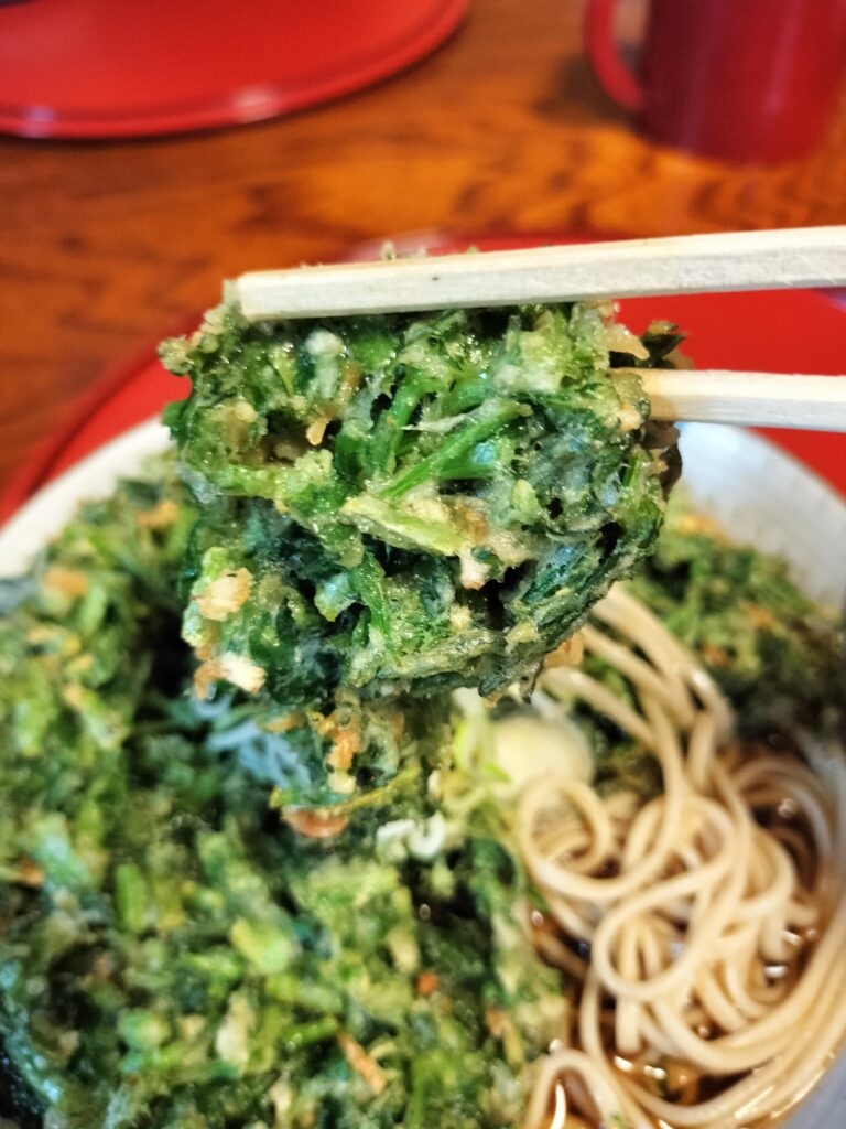 【秋田県羽後町】百姓そば屋 彦三 かき揚げリフトアップ