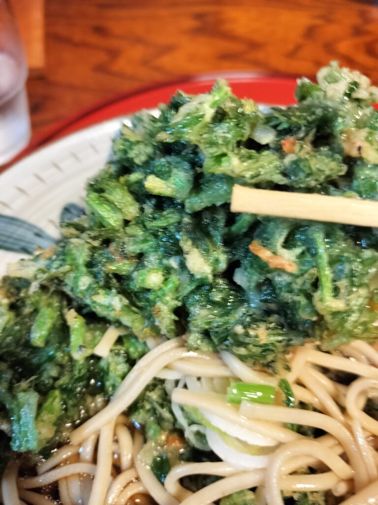【秋田県羽後町】百姓そば屋 彦三 かき揚げリフトアップ