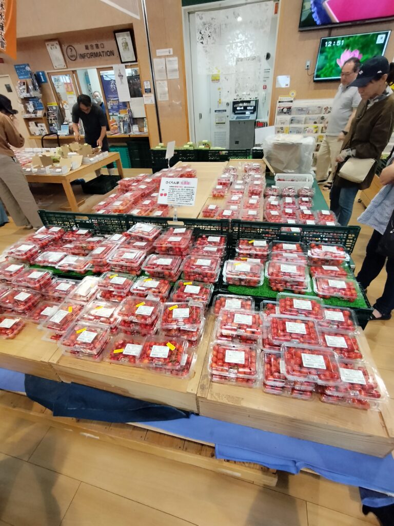【秋田県羽後町】道の駅うご 端縫いの郷 さくらんぼ