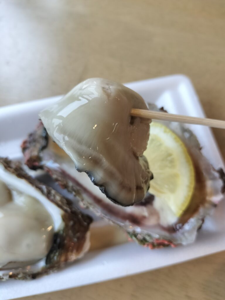 【山形県遊佐町】道の駅鳥海ふらっと 岩ガキ