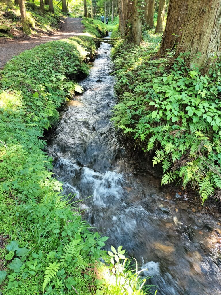 【秋田県にかほ市】元滝伏流水 道中の景色