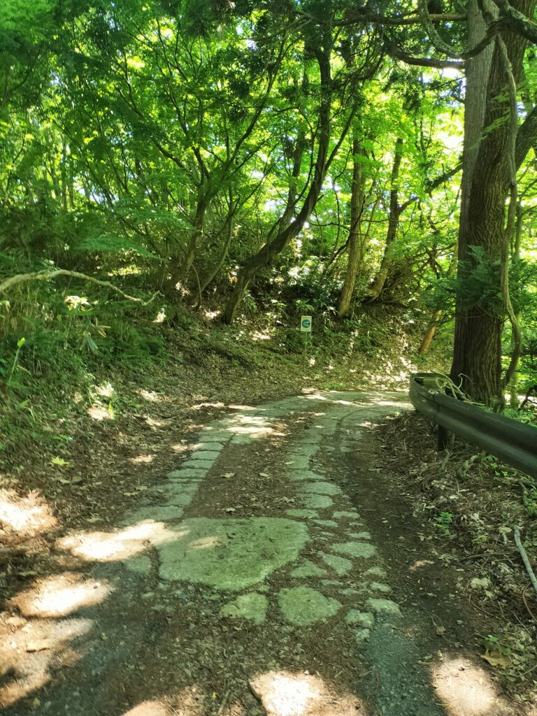【秋田県にかほ市】奈曽の白滝 山道