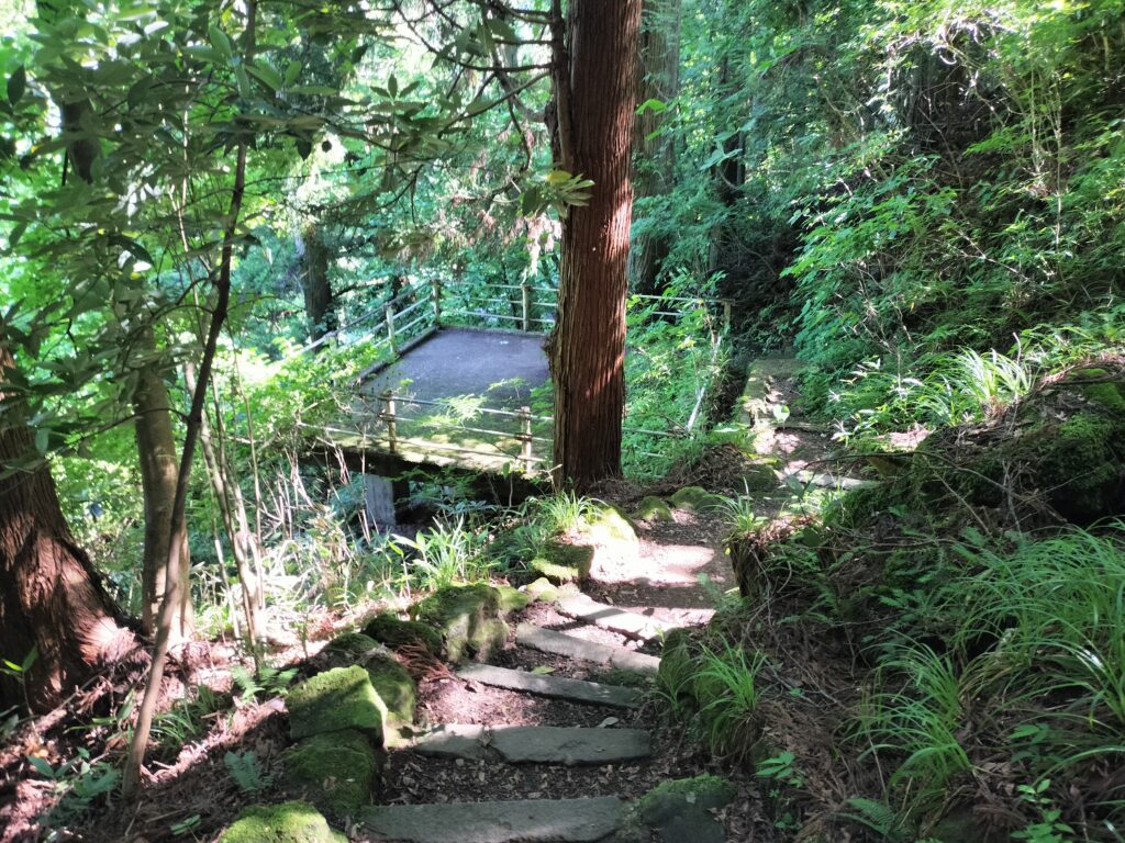 【秋田県にかほ市】奈曽の白滝 展望台