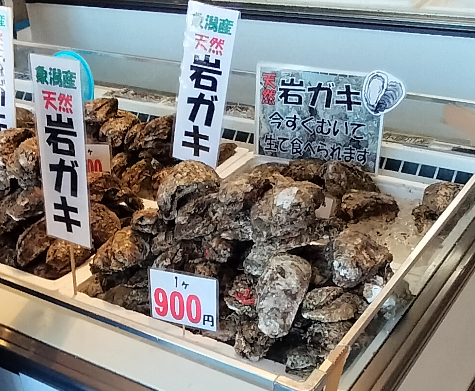 【秋田県にかほ市】道の駅象潟 ねむの丘 岩ガキ