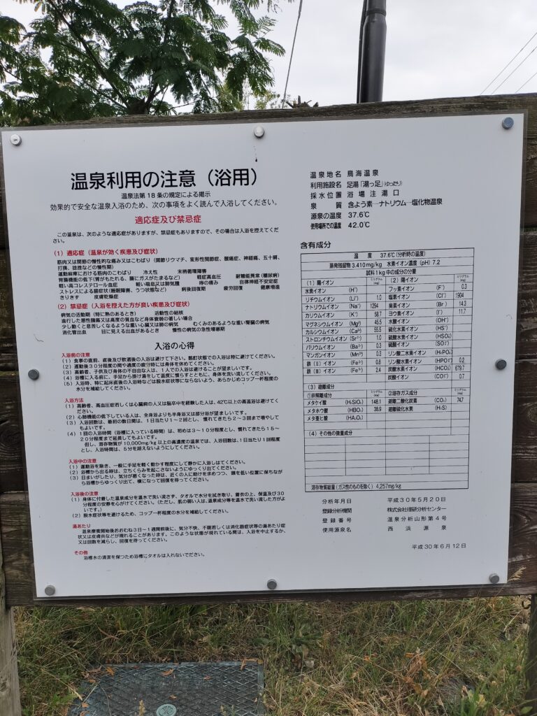 【山形県遊佐町】鳥海温泉 あぽん温泉 泉質