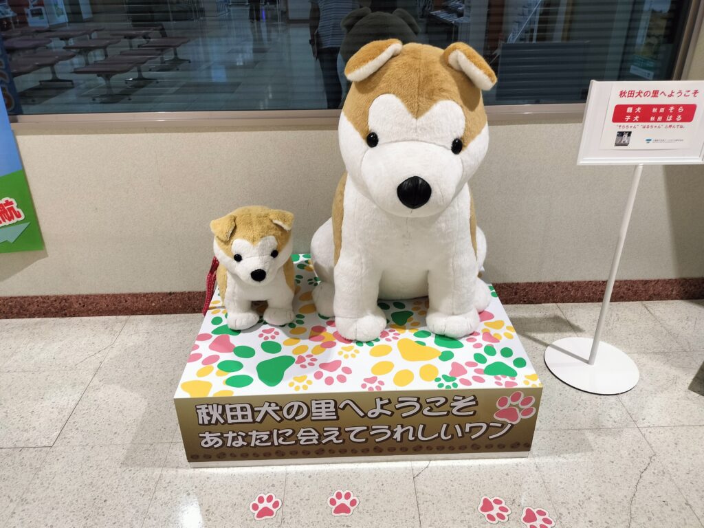 【秋田県北秋田市】道の駅 大館能代空港 秋田犬 ぬいぐるみ