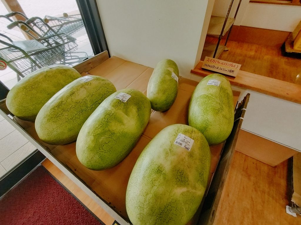 道の駅 おがち 小町の郷 菜菜こまち チャールストングレイ 長楕円スイカ