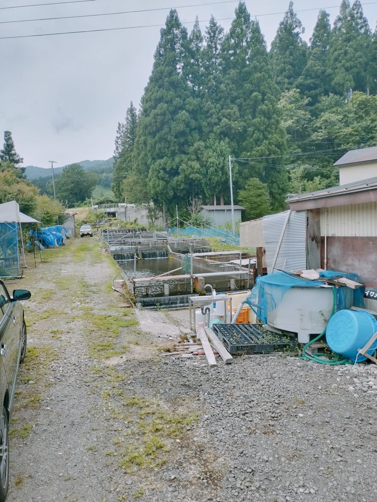 イワナの里 つり堀 場所