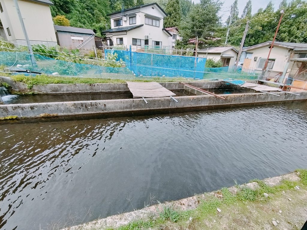 イワナの里 つり堀 場所