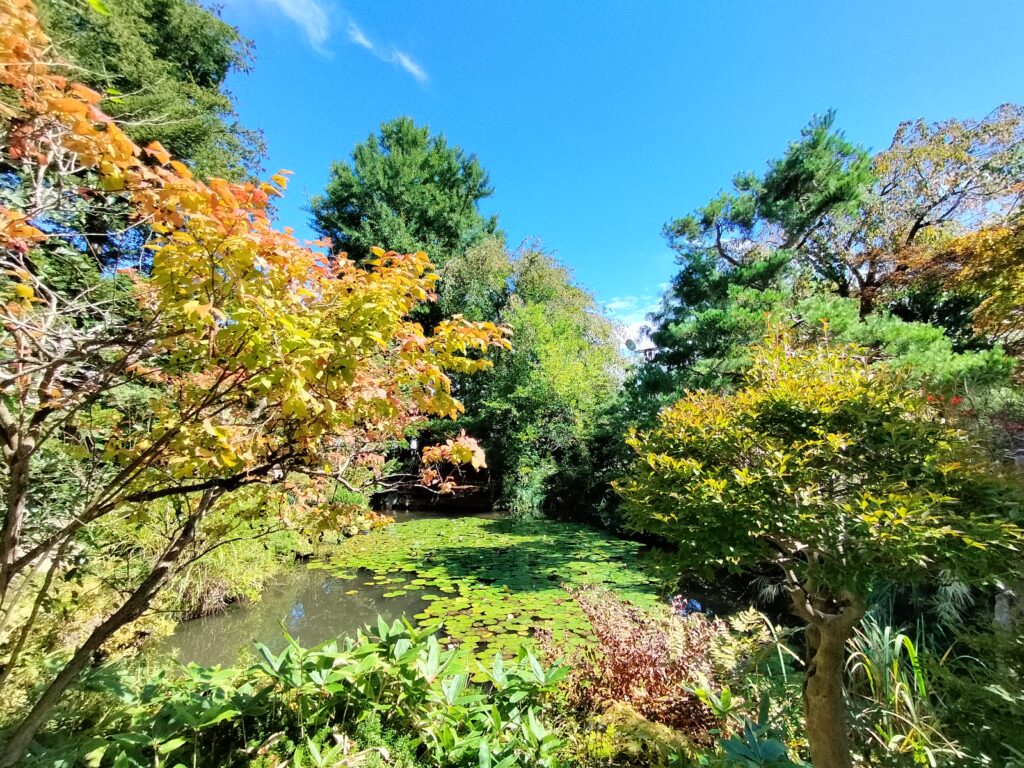 【秋田県仙北市角館町】庭園とお食事処 小倉園 庭園