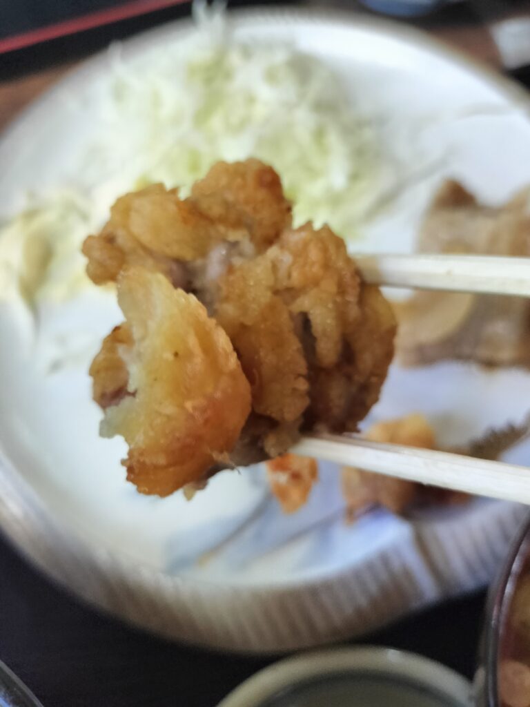 【秋田県仙北市角館町】庭園とお食事処 小倉園 からあげリフトアップ