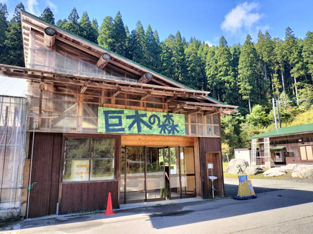【秋田県仙北市】田沢湖 森の駅 巨木の森 外観
