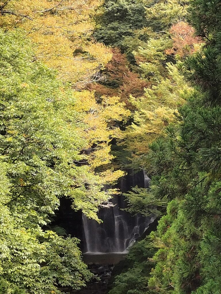 【秋田県由利本荘市】岩城 亀田不動滝を展望台から望む