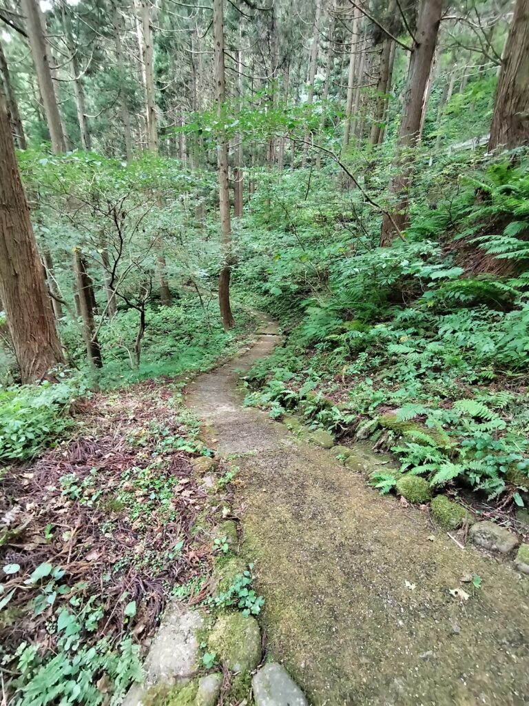 【秋田県由利本荘市】岩城 亀田不動滝 展望台側遊歩道