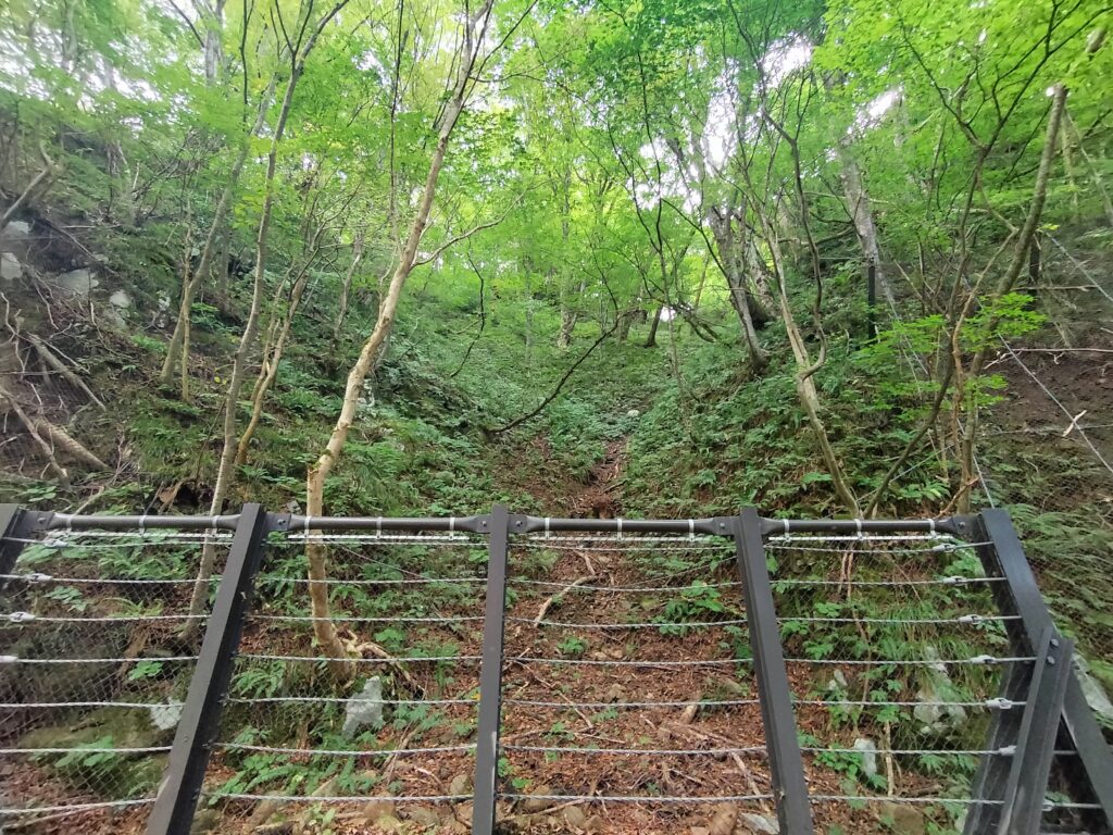 【秋田県由利本荘市】岩城 亀田不動滝 国道341号 落石ガード