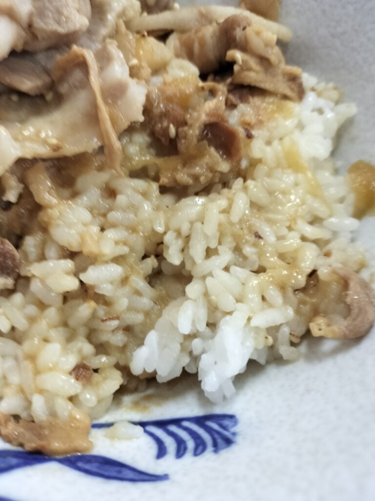 【秋田県湯沢市】皆瀬 小安峡温泉大噴湯たむら屋豚丼つゆだくごはん