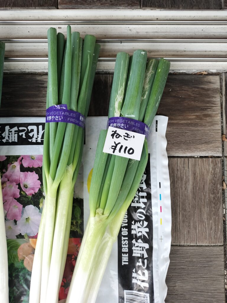 【秋田県湯沢市】皆瀬 小安峡温泉大噴湯兼子商店ねぎ