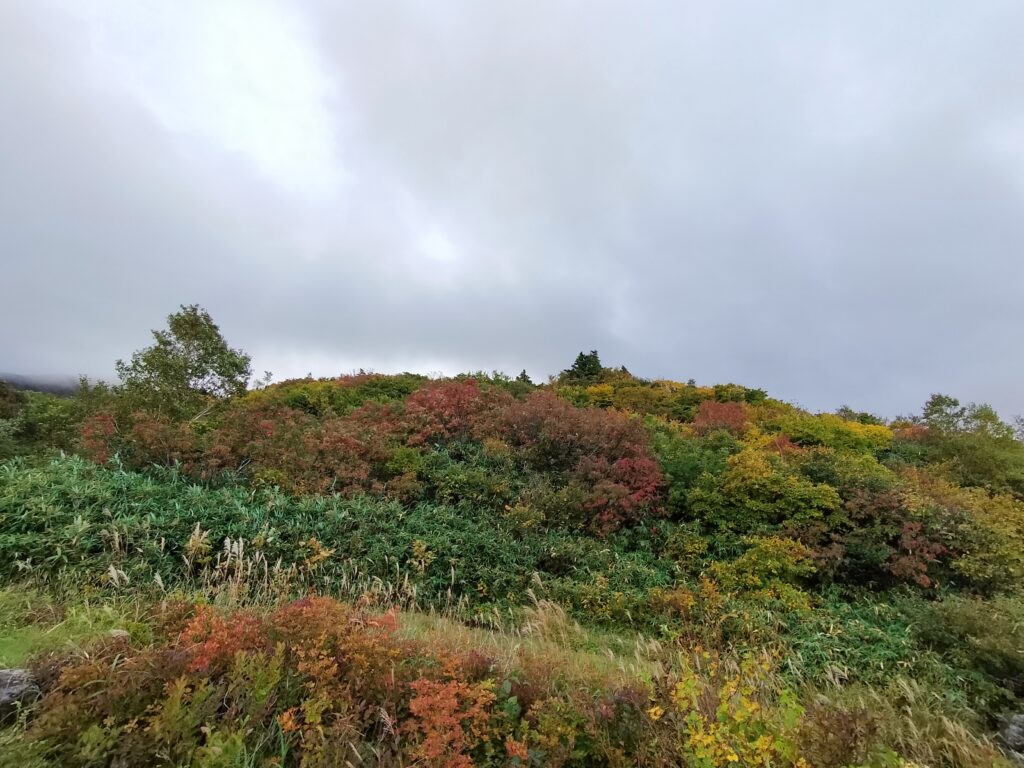 【秋田県東成瀬村】栗駒山荘から見た紅葉